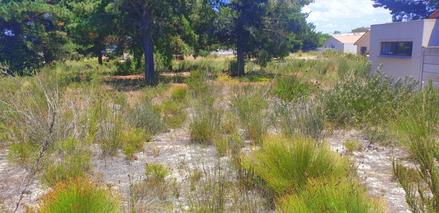  Bedroom Property for Sale in Albertinia Western Cape
